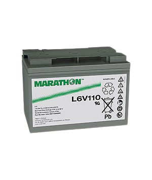 L6V110 Battery